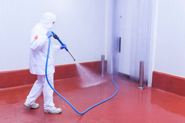 Best Post-Construction Pressure Washing  in Jackson, KY